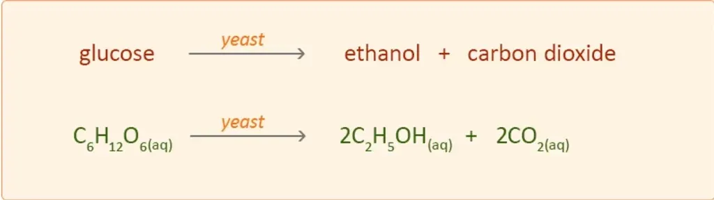 Alcoholic fermentation